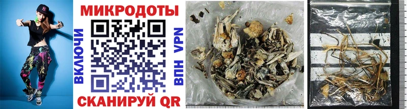 Псилоцибиновые грибы Psilocybine cubensis Купить где Вилюйск